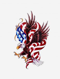 4th of July Eagle and American Flag Illustration PNG Free Download