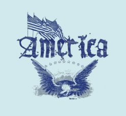 America Eagle 1 Blue PNG Free Download