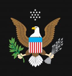 American Eagle Black Cotton PNG Free Download