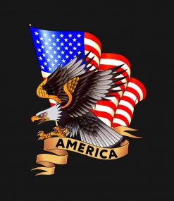 American Flag Eagle Patriotic PNG Free Download