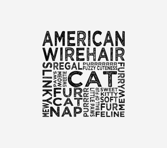 American Wirehair Cat Typography PNG Free Download