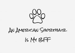 An American Shorthair Cat is my BFF PNG Free Download