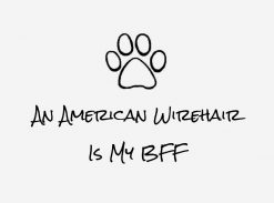 An American Wirehair Cat is my BFF PNG Free Download