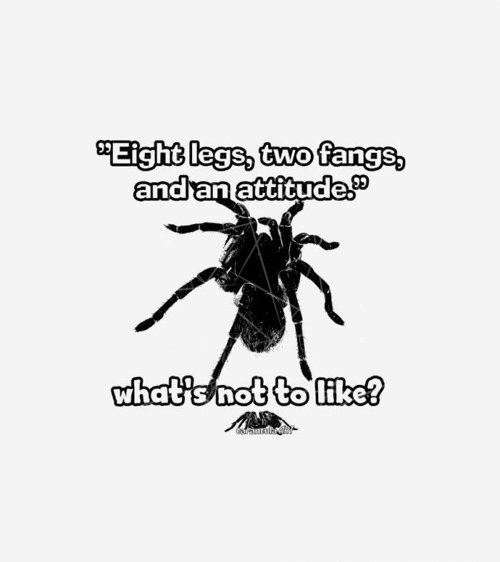 Arachnophobia - Tarantula Art Design 16 PNG Free Download