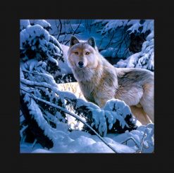 Arctic wolf - white wolf - wolf art PNG Free Download