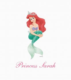Ariel and Castle PNG Free Download