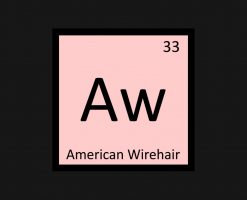 Aw - American Wirehair Cat Chemistry Element PNG Free Download