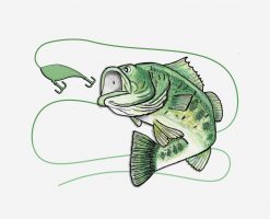 Bigmouth Jumping Bass Fishing PNG Free Download