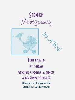 Birth Announcement Baby Bird PNG Free Download