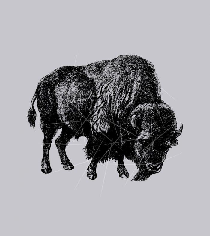 Buffalo American Bison Vintage Wood Engraving PNG Free Download