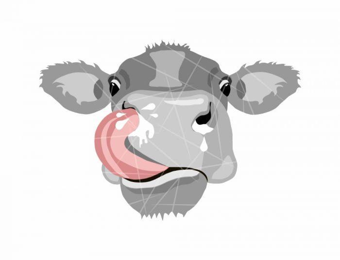 COW LICKING NOSE HITCH COVER PNG Free Download