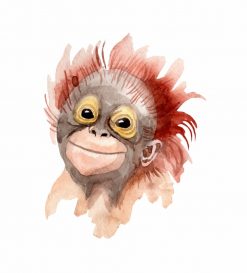 CUTE WATERCOLOR PRIMATE MONKEY ADULT CLOTH PNG Free Download