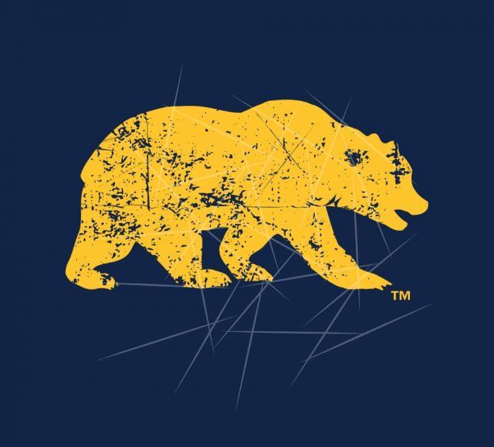 Cal Bear - Distressed Yellow PNG Free Download