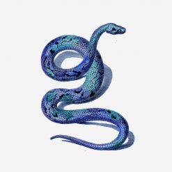 Coiled Blue Snake PNG Free Download