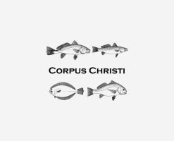 Corpus Christi Fishing  - Saltwater Fish PNG Free Download