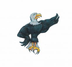 Fierce American Eagle PNG Free Download