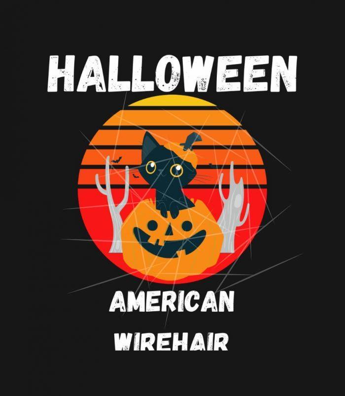 Halloween american wirehair Cat PNG Free Download