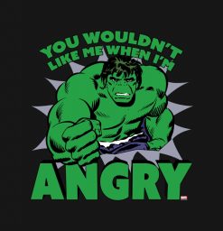 Hulk - You Wouldnt Like Me When Im Angry PNG Free Download