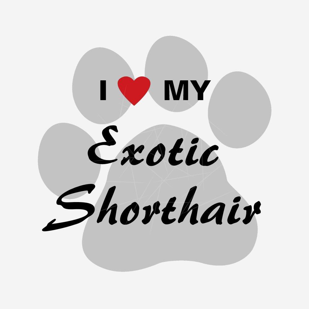 I Love Heart My Exotic Shorthair Pawprint Design Svg Png Dxf Eps Jpg Download Files For Cricut Silhouette Plus Resource For Print On Demand