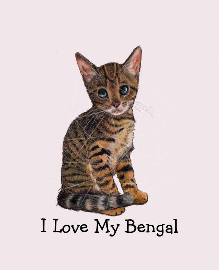 I Love My Bengal -  Kitten -  Cat in Color Pencil PNG Free Download