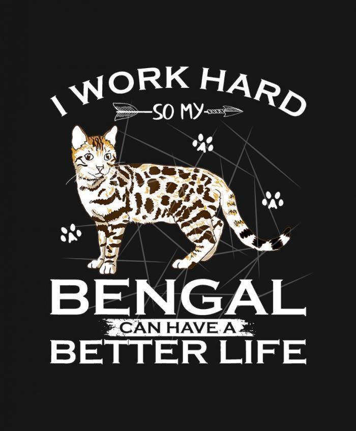 I Work Hard So My Bengal Cat Can Have A Better Lif PNG Free Download