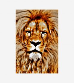 Lion Portrait PNG Free Download