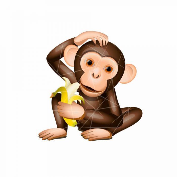 Little monkey PNG Free Download