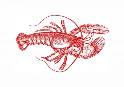 Lobster - Red PNG Free Download