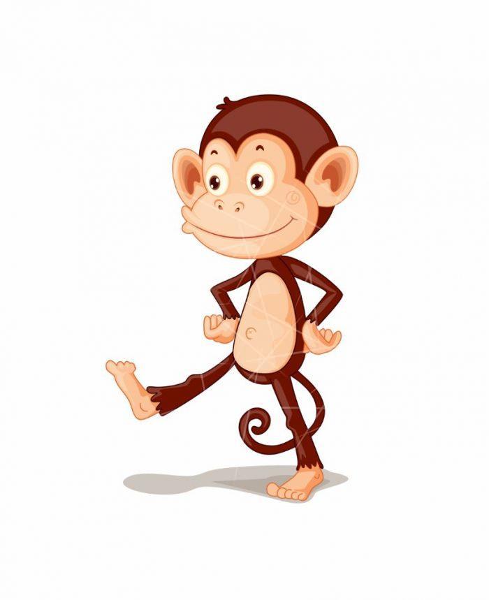 Monkey Cute PNG Free Download