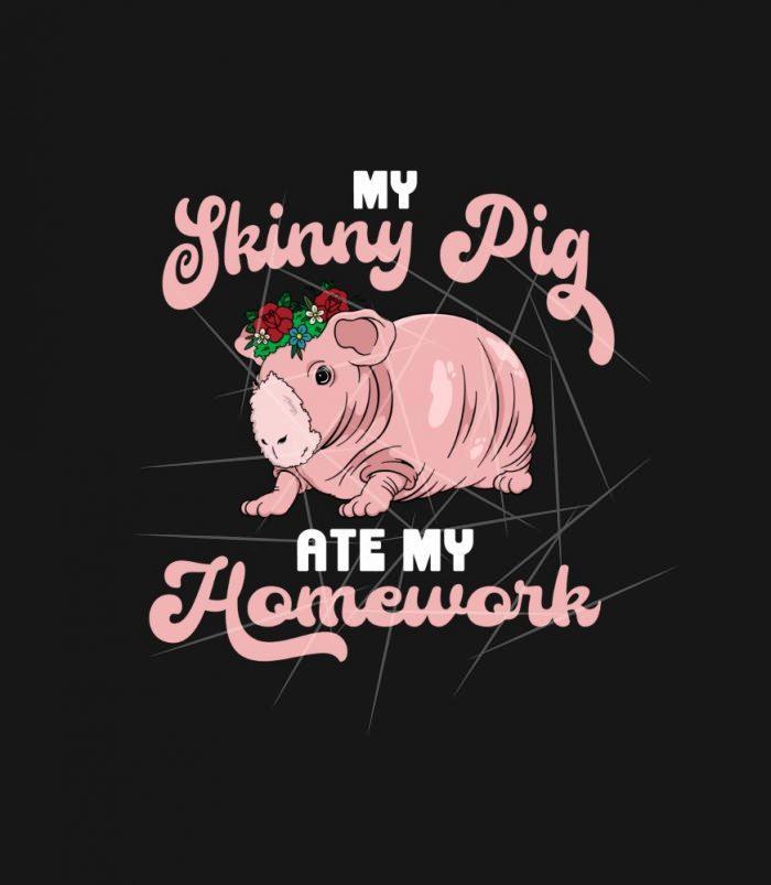 My Skinny Pig  ate my homework Guinea Pig  Flowers PNG Free Download
