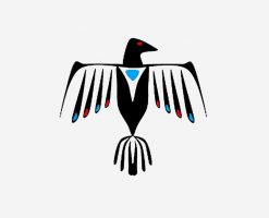 Native American Bald Eagle PNG Free Download