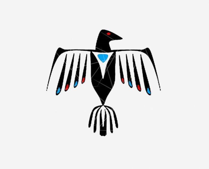 Native American Bald Eagle PNG Free Download