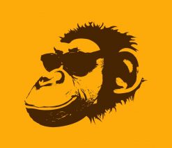 One Cool Monkey PNG Free Download