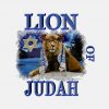 Original LION OF JUDAH! PNG Free Download