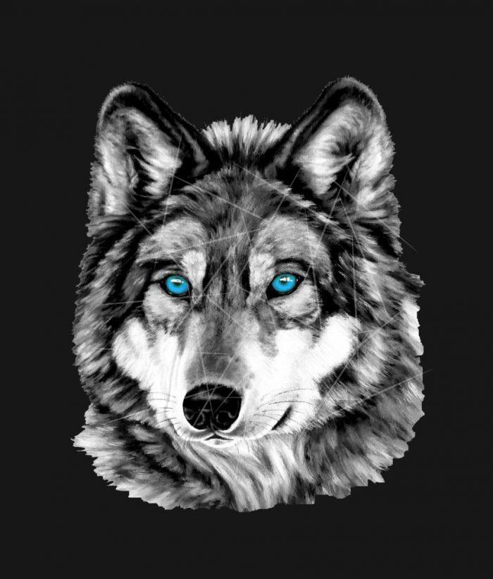 Painted Wolf Grayscale Blue Eyes PNG Free Download