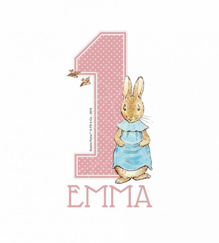 Peter Rabbit - Baby Girls First Birthday - Name Baby PNG Free Download