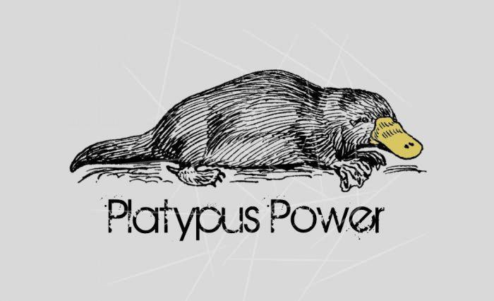 Platypus Power Australian Monotreme Individuality PNG Free Download