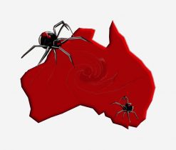 Redback Spider Australia PNG Free Download
