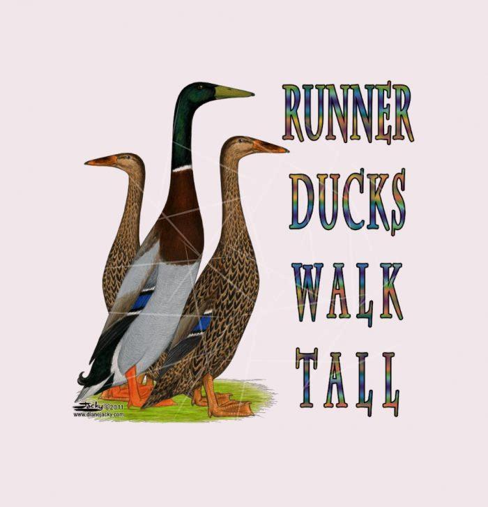 Runner Ducks Walk Tall PNG Free Download