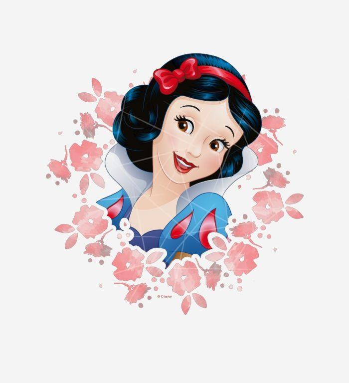 Snow White - Watercolor Floral Frame PNG Free Download
