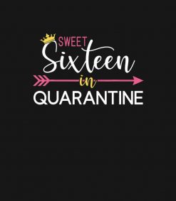 Sweet 16 in Quarantine Shirt for Girls - 16th Birt PNG Free Download