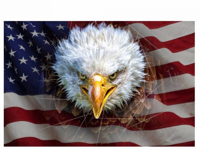 USA Flag and Eagle Tissue For Gift Wrap PNG Free Download