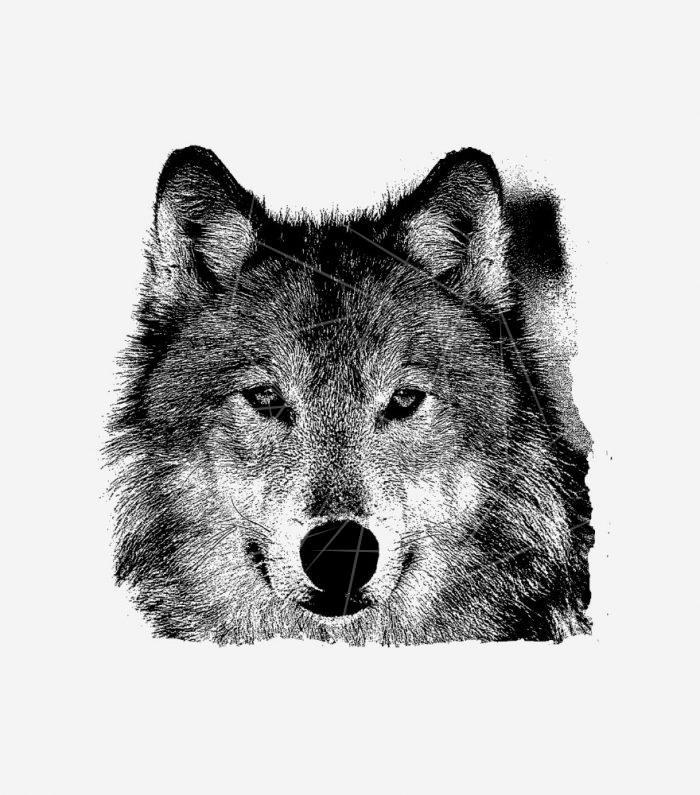 Wolf Eyes PNG Free Download