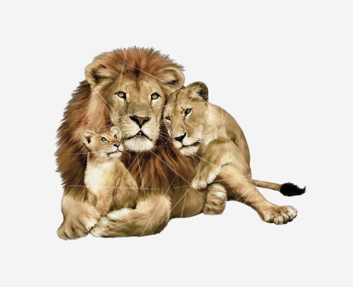 lion family PNG Free Download