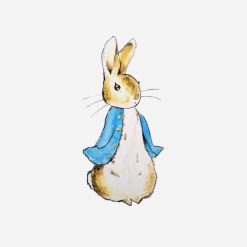 peter rabbit standing still PNG Free Download