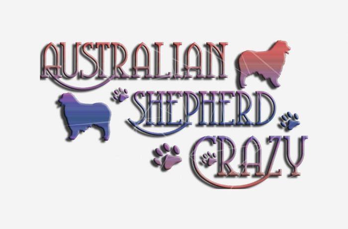 AUSTRALIAN SHEPHERD CRAZY PNG Free Download