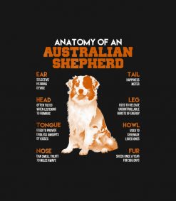 Anatomy Of An Australian Shepherd Dogs T Shirt Fun PNG Free Download