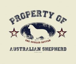 Australian Shepherd 1 PNG Free Download