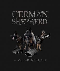 German Shepherd Dog - working dog PNG Free Download