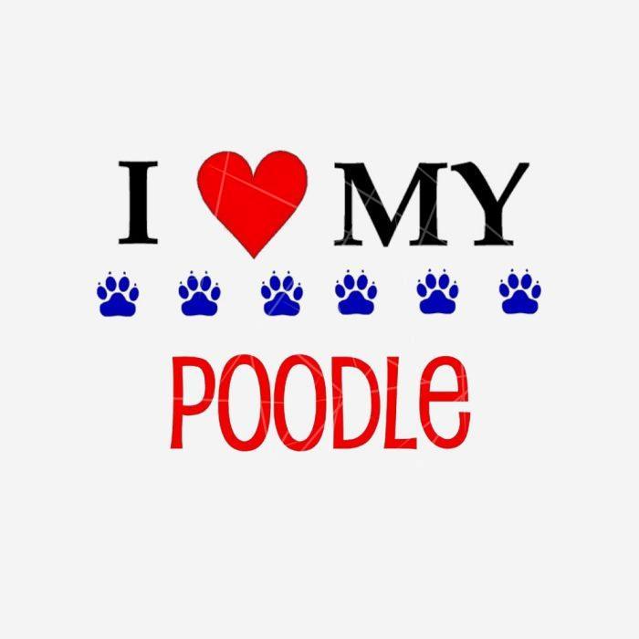 I Love My Poodle PNG Free Download